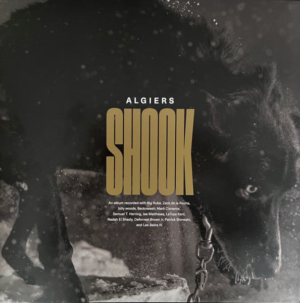 Algiers "Shook"