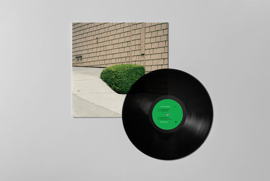 Ezra Feinberg "Soft Power" (2025 Limited Repress on Black BIO vinyl) JETZT VORBESTELLEN !!!
