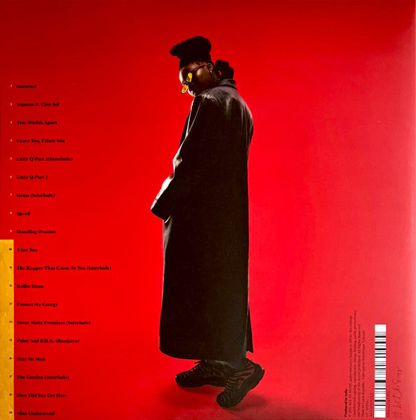 Little Simz "Sometimes I Might Be Introvert"