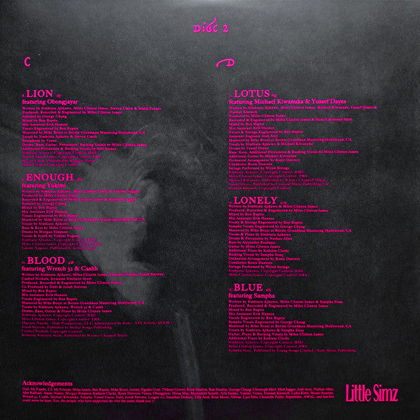 Little Simz "Lotus"