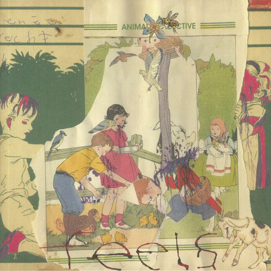 Animal Collective "Feels"