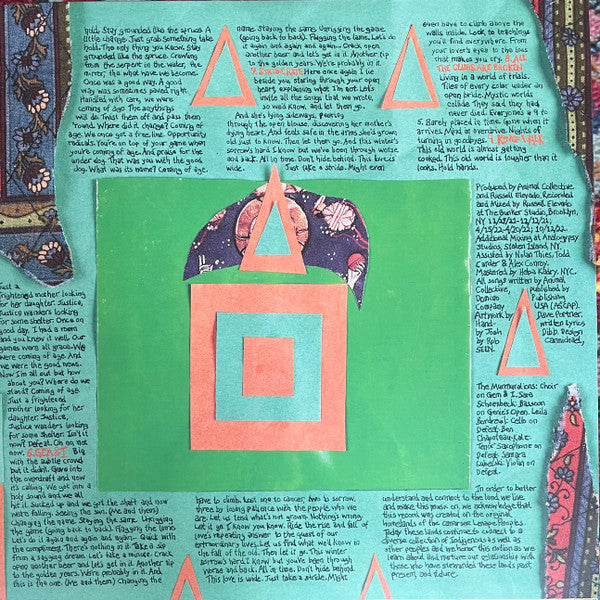 Animal Collective – Isn't It Now? (ltd colored)
