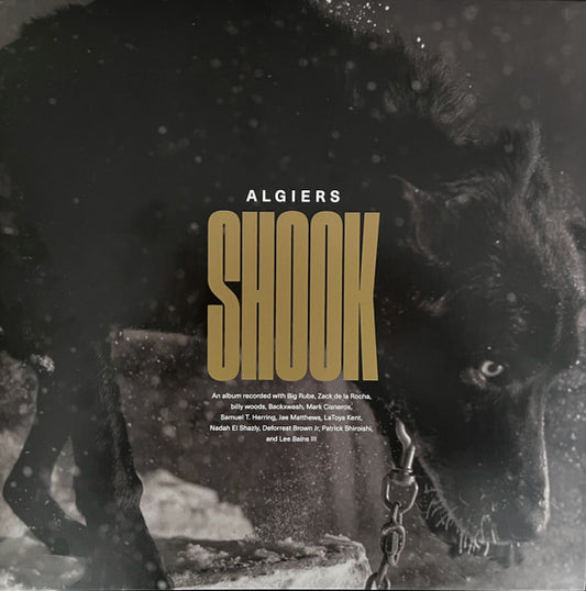 Algiers "Shook"