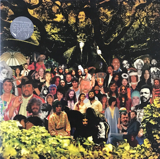 Devendra Banhart "Cripple Crow"