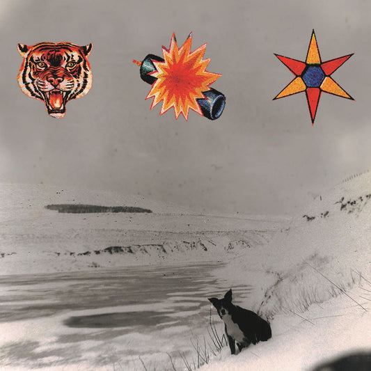 Beta Band "The Three EPs" - Double Heavyweight LP/2025 Edition