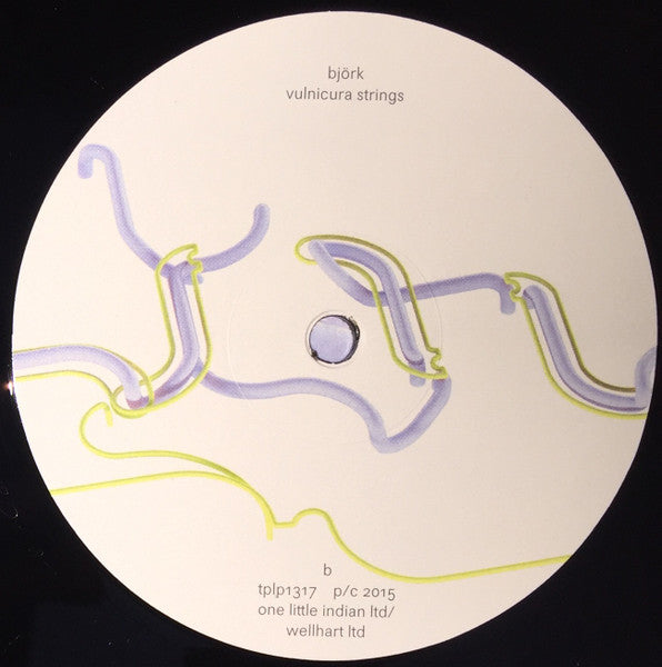 Björk "Vulnicura Strings"